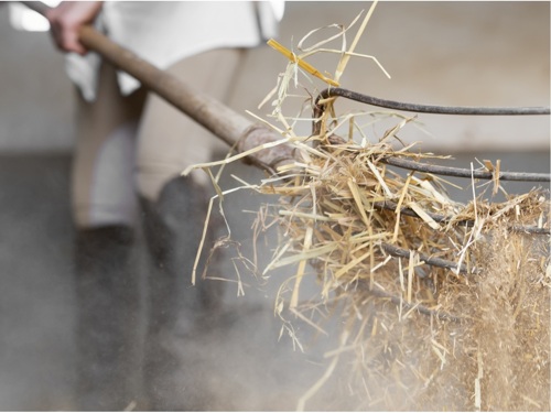 vrouwelijke-boer-hooi-uit-paardenstallen-schoonmaken.jpg